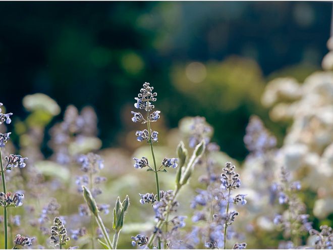 A股：股民做好下车准备，主力信号很强烈！下周一将迎来暴风雨？