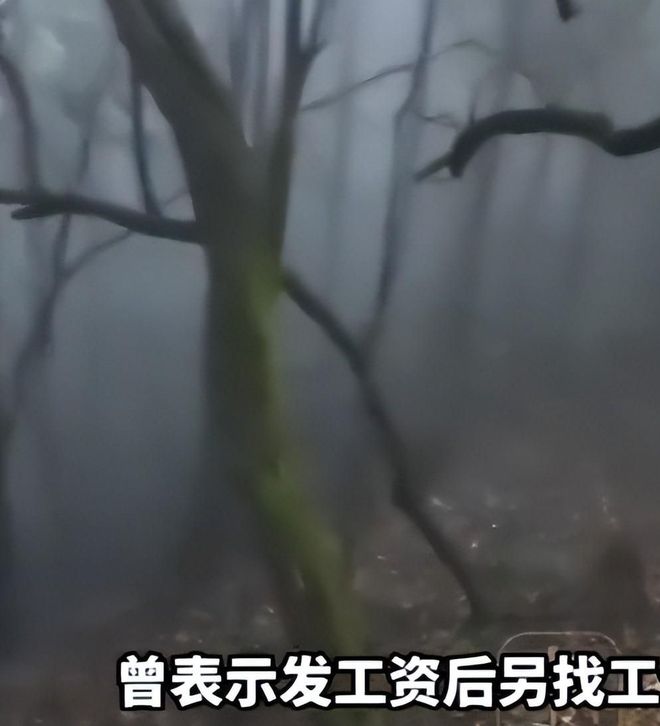 「原点杯」夏日狂想赛季·图文赛道入围名单揭榜！最终评审直播预约中！