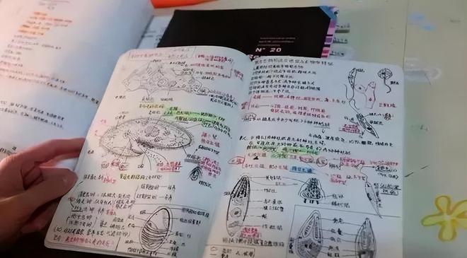 五百劳模工匠组团赴沈助威家乡队丨东北超赛场绽放劳动奋进力量
